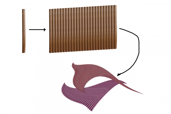 Creation of Species: Step 2